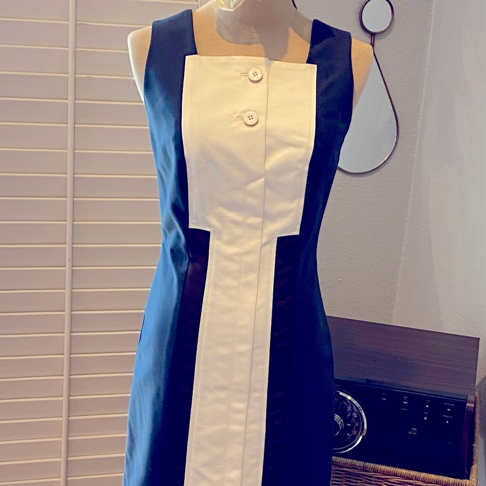 Carolina Herrera New York Dress